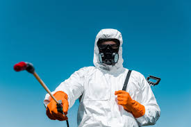 Best Termite Inspection and Treatment  in Winterville, NC